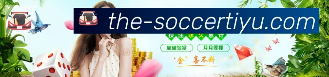 未来规划